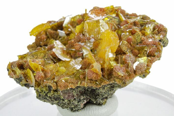 Botryoidal Orange Mimetite on Windowpane Wulfenite - Mexico #348005